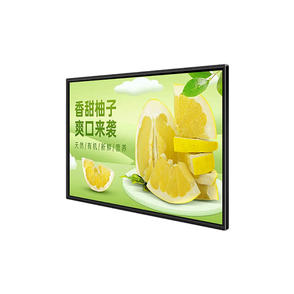 智能立式、壁挂式广告机